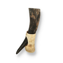 Abbeyhorn Handcrafted Ox Horn Drinking Horn With Stand