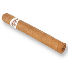 Jose L Piedra Conservas (Single Loose Cuban Cigar)