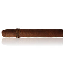 CAO Cigars Amazon Basin Toro (Single Loose Cigar)