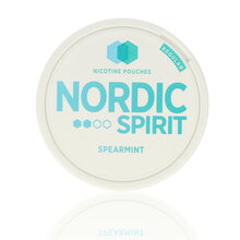 Nordic Spirit Tobacco Free Chew Bags Spearmint 6mg