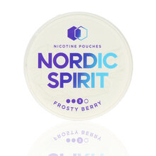 Nordic Spirit Tobacco Free Chew Bags Frosty Berry 9mg