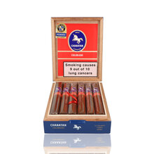 Charatan London Colorado Toro (Box of 12 Cigars)