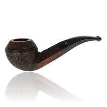 Northern Briars Rox Cut Regal Rhodesian NB-260