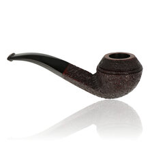 Northern Briars Rox Cut Regal Rhodesian NB-260