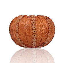 Top view of the Northern Briars Light Tan Sea Urchin NB-290 showing the intricate carved sea urchin bowl with individually inset wooden detailing.